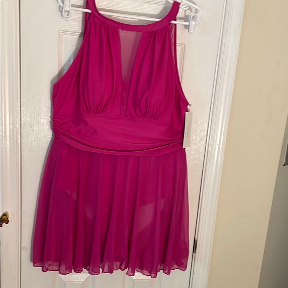 Vibrant Pink 1pc Mesh Overlay Bra & Skirt Detail Dress Swimsuit 2X